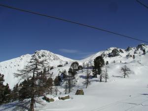 A view of the ski slopes